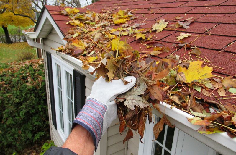 Close-up of Gutter Debris