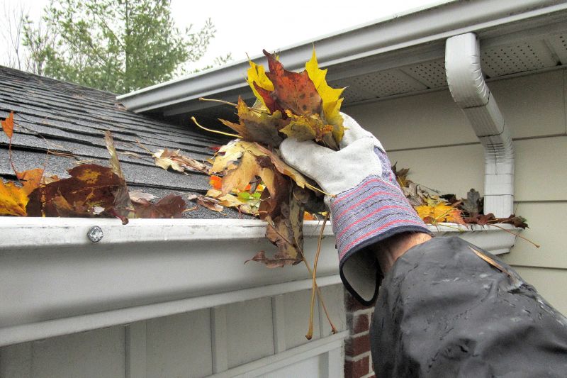 Fall Gutter Cleaning