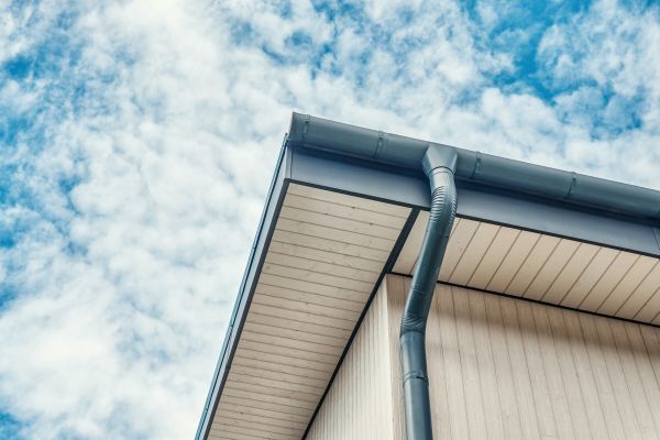 Gutter Fascia Repair in Advance